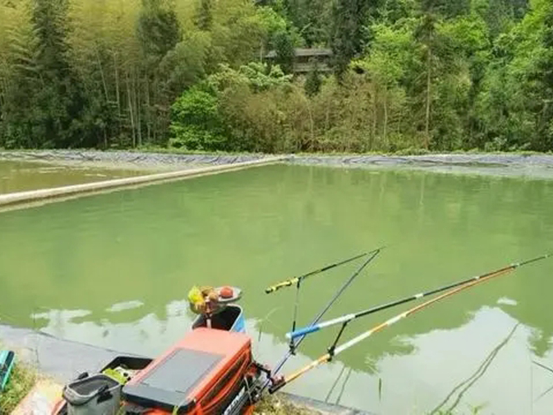 釣箱到底需不需要置辦，先看看它的五大實用功能，野釣黑坑都能用